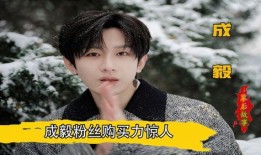 成毅爆料直播带货视频,独家爆料带你领略带货魅力