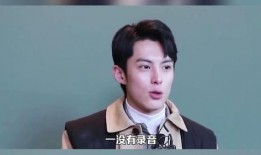 王鹤棣爆料片场视频,幕后花絮曝光，精彩瞬间引网友热议